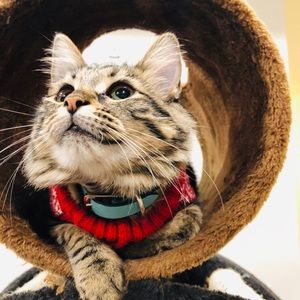 Meet your Posher, Kat